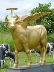 Что вы знаете о священных коровах?